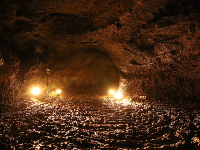 Saiko Bat Cave：Fuji Midori no Kyuka-mura