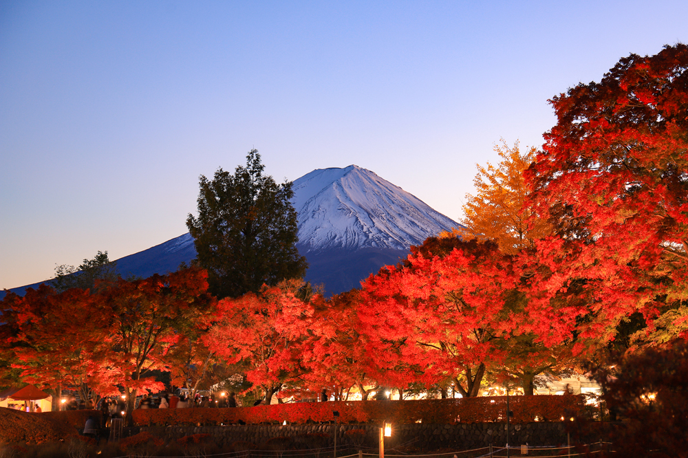河口湖周辺の絶景おすすめ紅葉巡りスポット 富士緑の休暇村 河口湖周辺の絶景おすすめ紅葉巡りスポット 富士緑の休暇村
