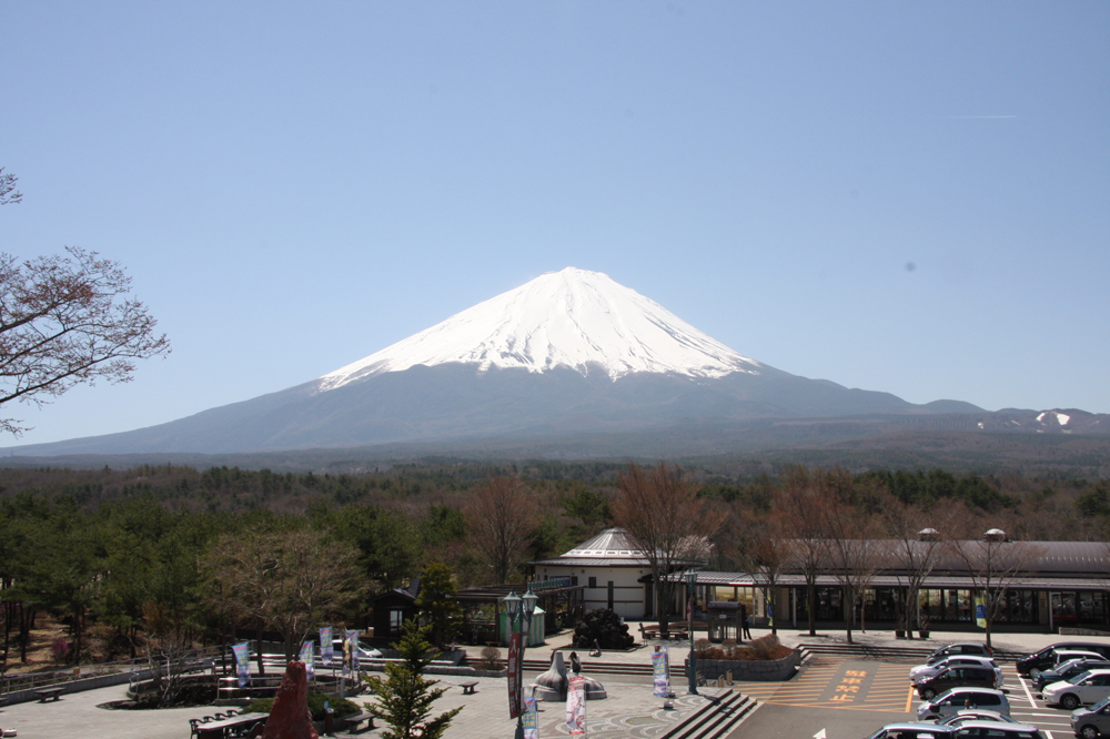 富士緑の休暇村の場内の写真